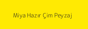 Miya Hazır Çim Peyzaj